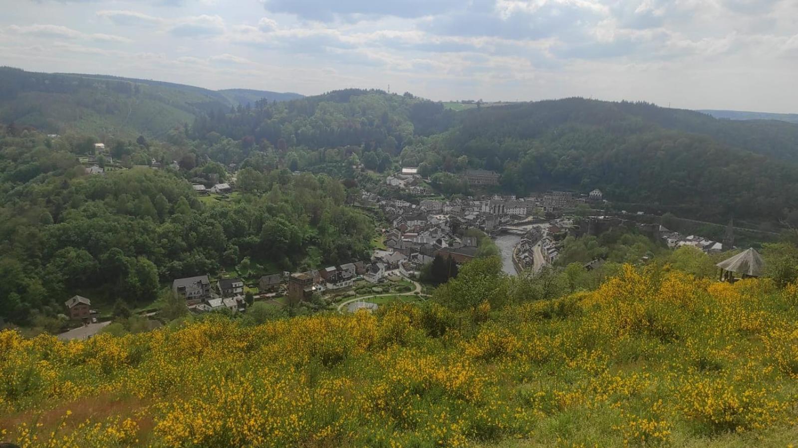 Le Panorama Vila La-Roche-en-Ardenne Exterior foto